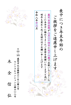 ZS601
