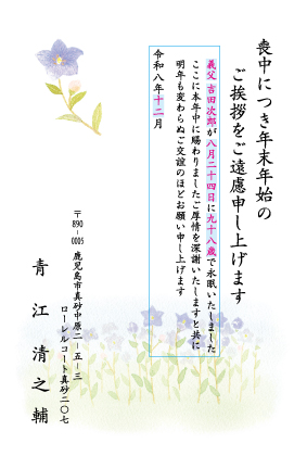 ZS801