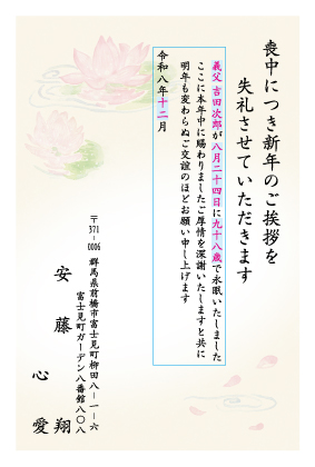 ZS901